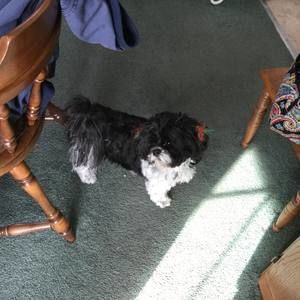 Meet your Posher, Carol